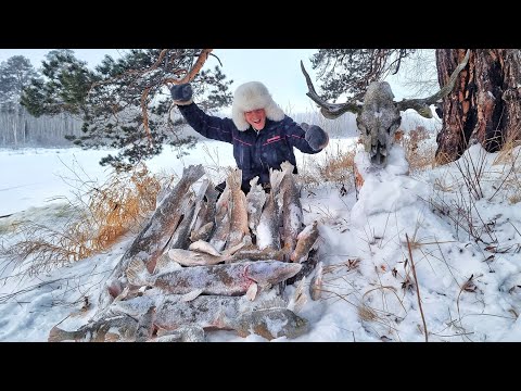 Видео: В ИЗБУ К ОТШЕЛЬНИКУ! НЕ ЛЕЗЕТ В ЛУНКУ! ТАЁЖНЫЕ ОЗЕРА ТОМСКОЙ ОБЛАСТИ часть 1