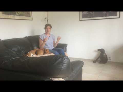 Видео: Отучаем от подбора, урок 5