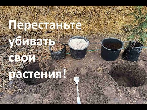 Видео: Как изменить почву под любую культуру.