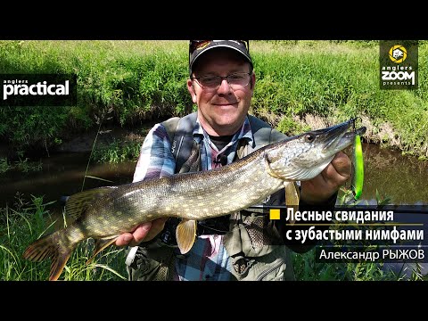 Видео: Лесные свидания с зубастыми нимфами. Александр Рыжов. Anglers Practical