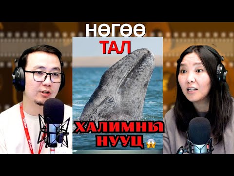 Видео: Нөгөө тал | 2025-11-03 | 20-р зуунд дэлхийн нийт халимын 99% нь устсан.