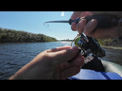 Видео: ТРИ ЗАБРОСА ДВЕ РЫБЫ!!! Лучшая приманка для ловли хищника!