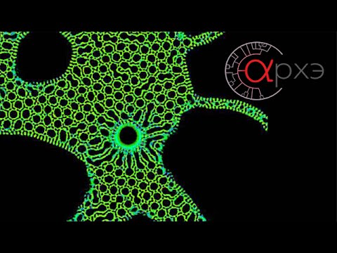 Видео: Дмитрий Кнорре: "Биология и игры"