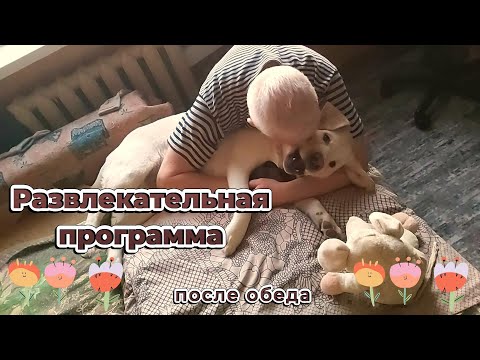 Видео: Развлекательная программа после обеда