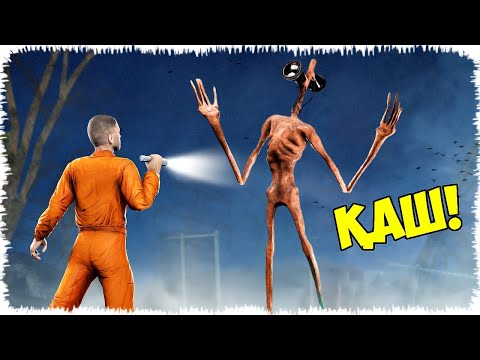 Видео: Сиреноголовыйды орманнан көрсең, дереу қаш!
