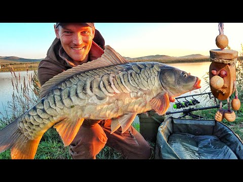 Видео: ЯМА ПОЛНА РЫБЫ! КАРПЫ, САЗАНЫ, АМУРЫ, КОИ! САМАЯ ДОРОГАЯ РЫБАЛКА ч.2