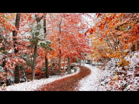 Видео: 🍁❄ Ароматы осень-зима (Avon, Oriflame, Faberlic /ЧАСТЬ 2/ 🍂🍂