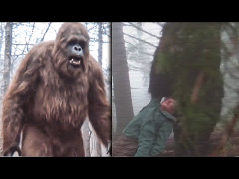 Видео: СОТНИ ПРОПАВШИХ Туристов на Аляске: Рейнджер Раскрыл Ужасную ПРАВДУ. БИГФУТ РЕАЛЕН!