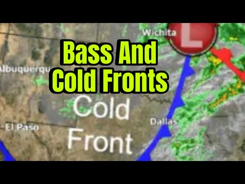 Видео: Как поймать окуня после прохождения холодного фронта..