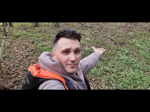 Видео: Беларусь моими глазами / Весна в лесу. #ВЕЛОспортМАСТЕР