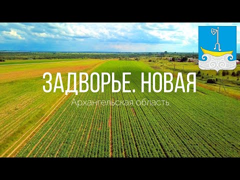 Видео: 4K. Задворье. Новая. Холмогорский район. Архангельская область.