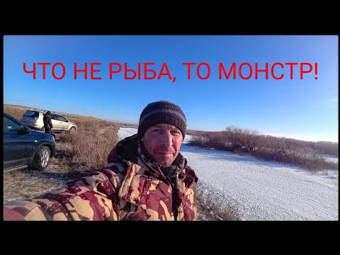 Видео: Рыбалка на Нуре.