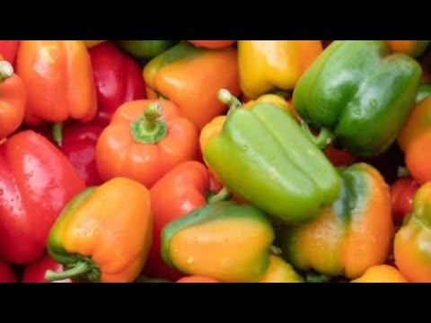 Видео: Сушка овощей в электросушилке.