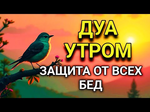 Видео: ☝️💖 СИЛЬНЕЙШЕЕ ДУА УТРОМ ОТ ВСЕХ БЕД 🤲🌹🌈