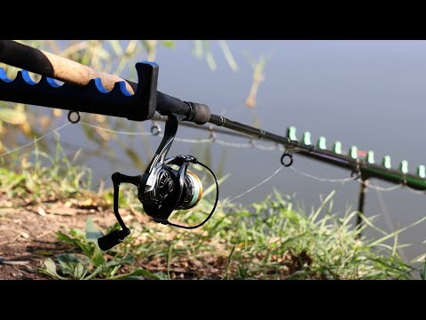 Видео: Жара а рыба прёт, тут её много, рыбалка на фидерную снасть поклёвки карася и крупного леща