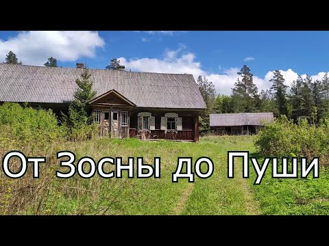 Видео: От Зосны до Пуши . Красивые места и заброшенные дома