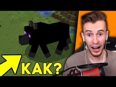 Видео: ЗАКВИЕЛЬ В ШОКЕ ОТ САМЫХ СТРАННЫХ WТF МОМЕНТОВ - Редчайшие Моменты За 2020