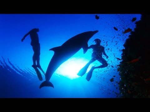 Видео: Музыка Для Медитации и Релаксации Без Слов и Рекламы