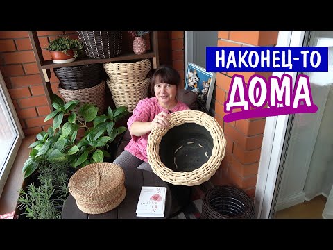 Видео: Кашпо прибавляются! Решила точно, что буду сеять! Последние дела в саду. Норвежский торт и чаепитие!