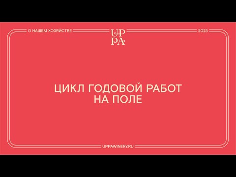 Видео: Павел Швец | Цикл годовой работы на поле