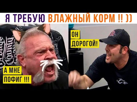 Видео: КОРОТКО О МОЕЙ КОШКЕ ))) Приколы с котами | Мемозг 1277