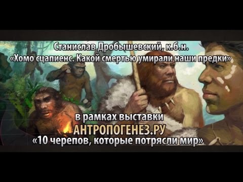 Видео: Станислав Дробышевский — Хомо сцапиенс. Какой смертью умирали наши предки