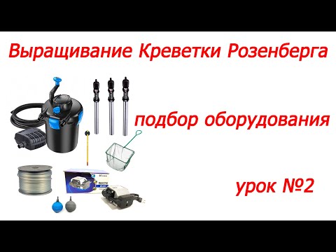 Видео: С чего начать, урок №2, подбор оборудования, выращивание Креветки Розенберга