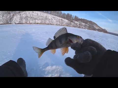 Видео: Поиск окуня о.Инголь 29 ноября 2019