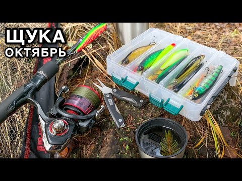 Видео: Ловля ЩУКИ осенью на ДЖЕРКБЕЙТЫ [ Воблеры Минноу ] Рыбалка на Спиннинг с берега | Твичинг на Реке