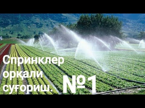 Видео: СПРИНКЛЕР - ёмғирлатиб суғориш тизими хақида маълумотлар