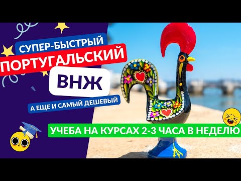 Видео: ВНЖ Португалии по профессиональным курсам -- быстрее, чем номады и D7