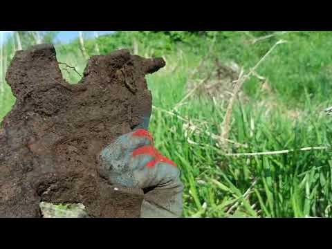 Видео: Выезд с разведкой для металлокопа