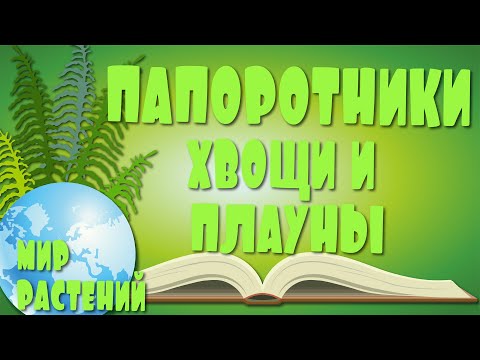 Видео: Папоротники хвощи и плауны. Высшие споровые растения