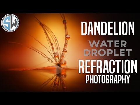 Видео: Фотография преломления капель воды одуванчика!