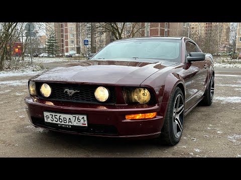 Видео: FORD MUSTANG 4.0L 2005г притягивает внимание как магнит!