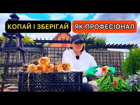 Видео: Коли і як викопують гладіолуси? Як підготувати гладіолуси до зберігання ?