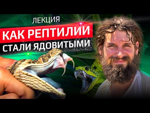 Видео: Когда рептилии стали ядовитыми? Леонид Неймарк