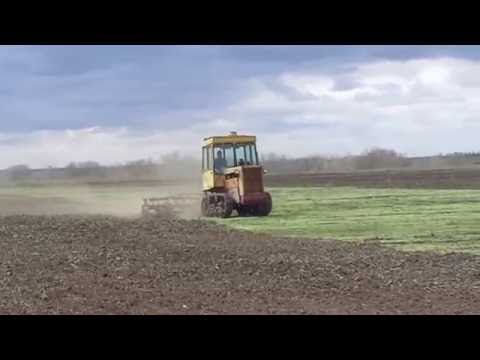 Видео: дт-75 на культивации.
