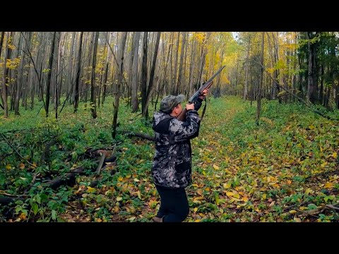 Видео: Бесконечная охота: Почему 90% охотников возвращаются ни с чем