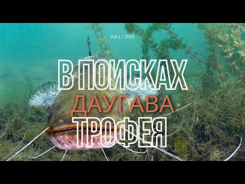 Видео: В поисках трофея #1 | Даугава | #сомы  | #судак | #подводнаяохота