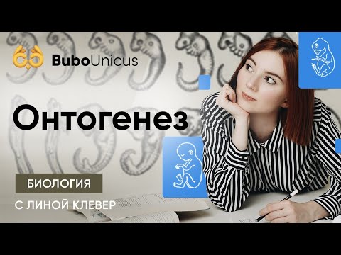 Видео: Онтогенез | БИОЛОГИЯ ЕГЭ | Лина Клевер