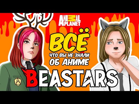 Видео: BEASTARS: ЧЕГО ВЫ НЕ ЗНАЛИ, спойлеры манги, СЮЖЕТНЫЕ ДЫРЫ в дикой природе