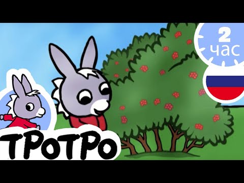 Видео: ТРОТРО - 🍓Тротро хочет сладкого🍒 - Сборка #36