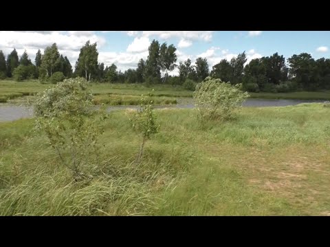 Видео: ЧАСТЬ 3. Две ночевки в Полесской глуши