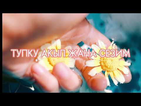 Видео: Тупку ан Сезим ана АКЫЛ (Техника)JAN_DYINO_AZYCY