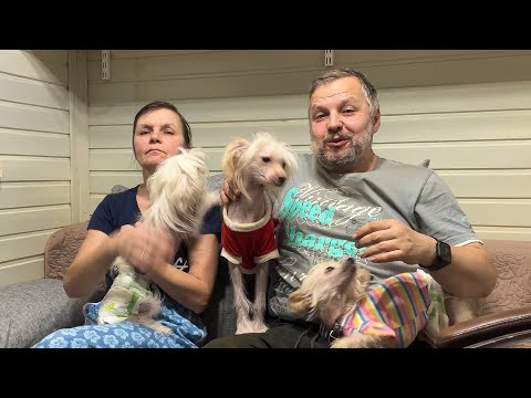 Видео: Их не смогли пристроить, и они попали к нам. Трое новых питомцев в хвостатом счастье!