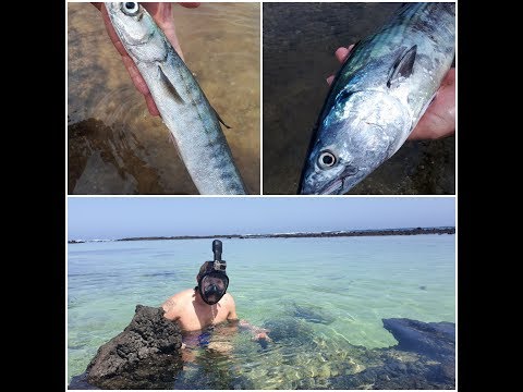 Видео: Канарские острова. Лансароте. Рыбалка и сноркельн. Lanzarote. Snorkeling