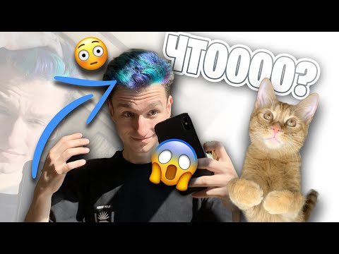 Видео: Впервые покрасил волосы! | Реакция Симбы и Yolo House!😱