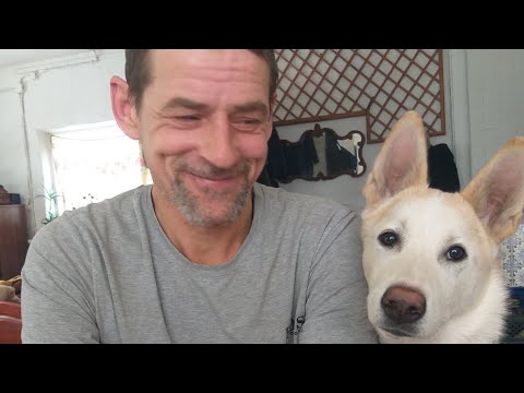 Видео: Была в зимнем лесу,помыла окна,спряталась🤣🤣🤣🤣