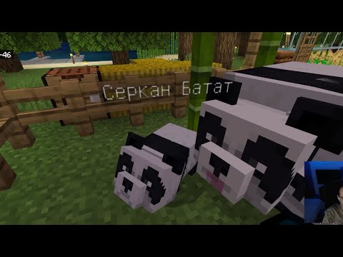 Видео: я ваде